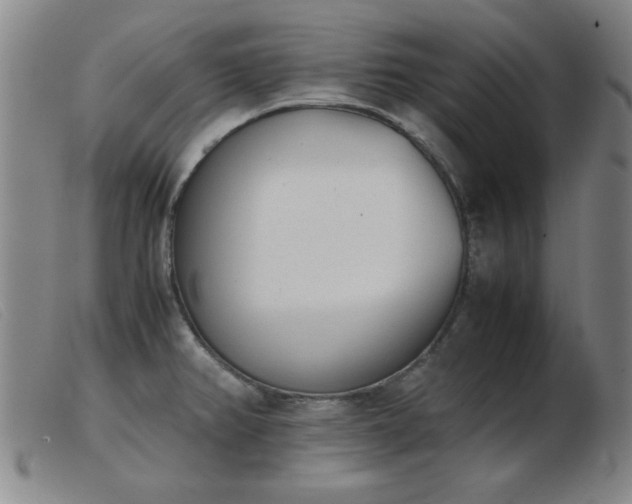 X0000103901382200809191228