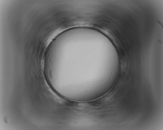 X0000103901383200809191228