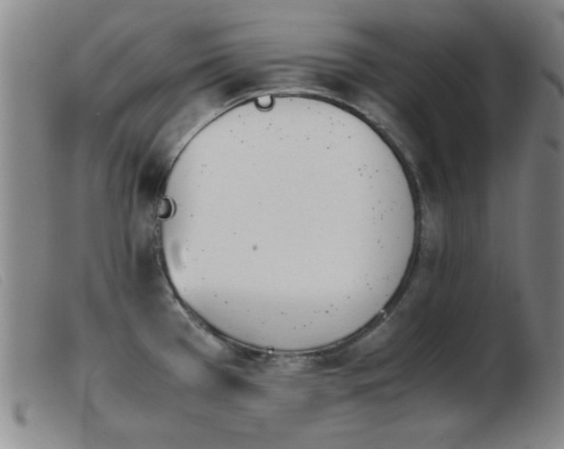 X0000103901385200809191228