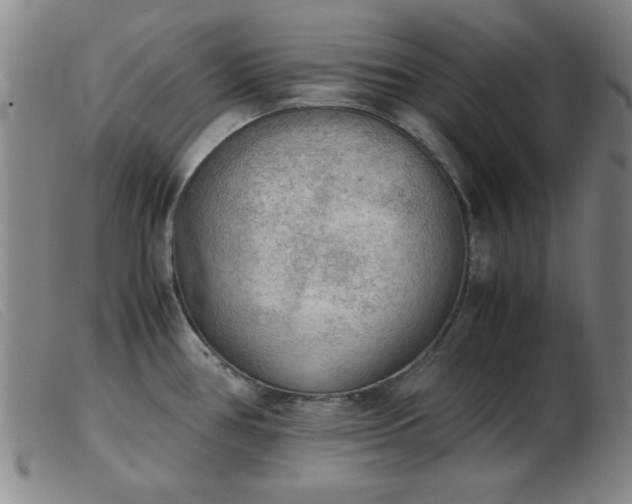 X0000103901386200809191228