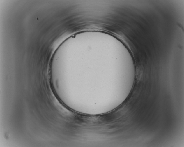 X0000103901387200809191228