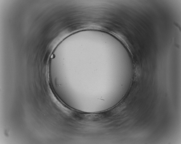 X0000103901391200809191228