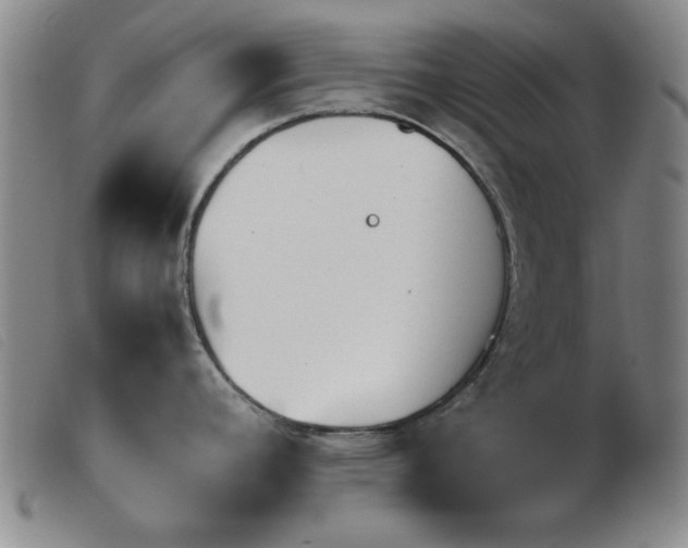 X0000103901392200809191228