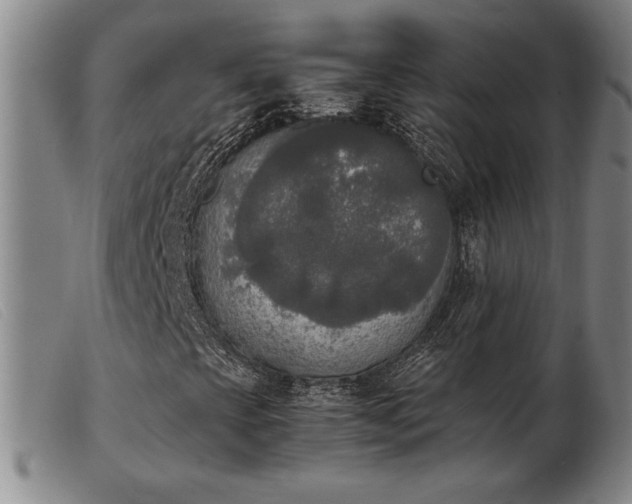 X0000103901393200809191227