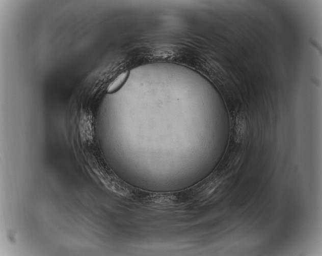 X0000103901394200809191227
