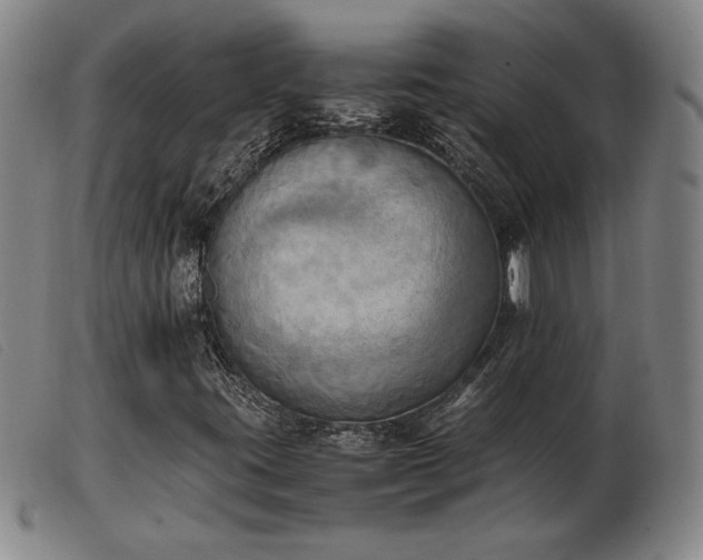 X0000103901395200809191227