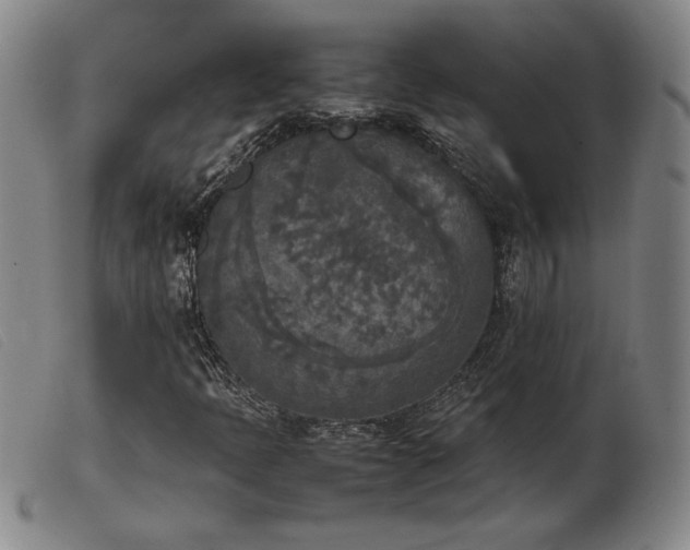 X0000103901397200809191227