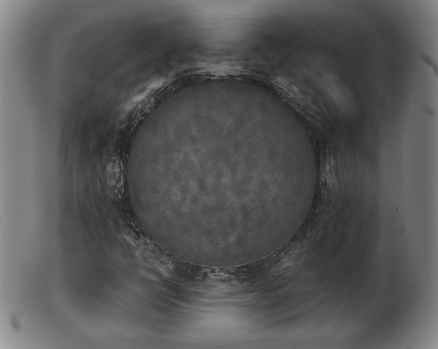 X0000103901398200809191227