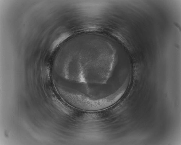 X0000103901402200809191227