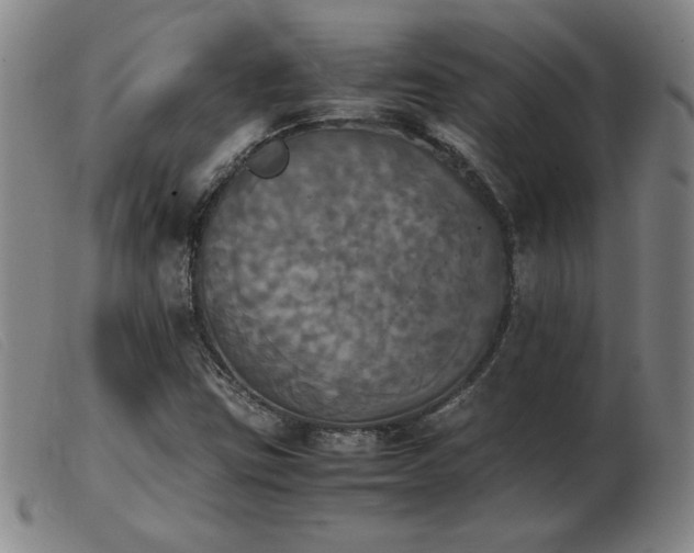 X0000103901403200809191227