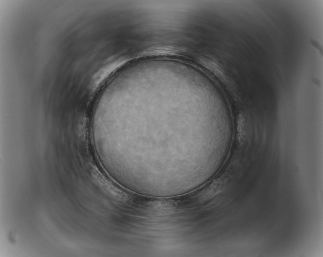 X0000103901404200809191227