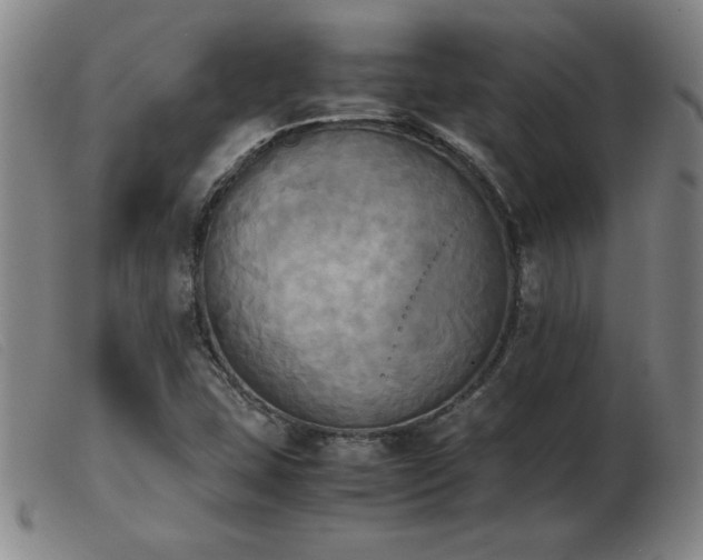X0000103901407200809191227