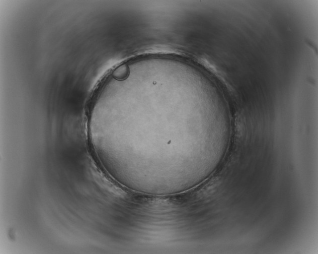 X0000103901408200809191227