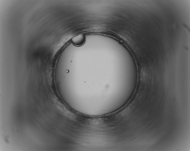 X0000103901410200809191228