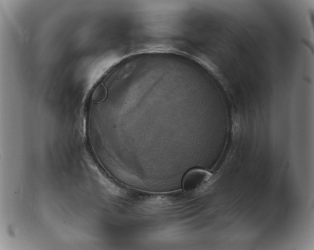 X0000103901414200809191228