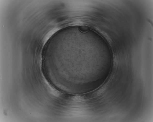 X0000103901418200809191228