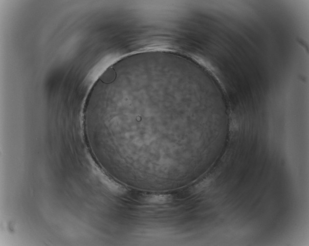 X0000103901423200809191228