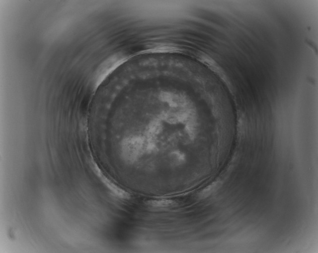 X0000103901425200809191228