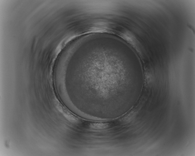 X0000103901427200809191228