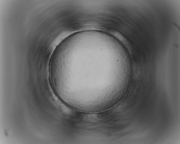 X0000103901431200809191228