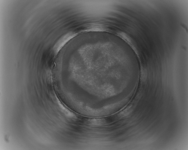 X0000103901433200809191228