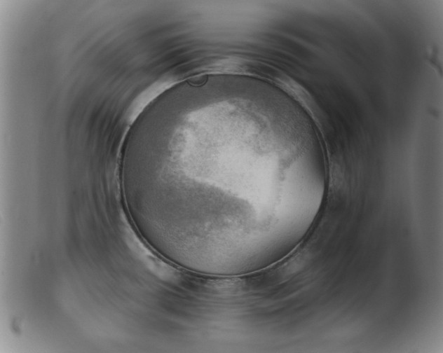 X0000103901434200809191228