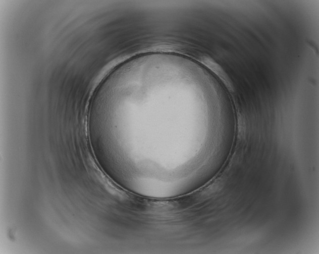 X0000103901436200809191228