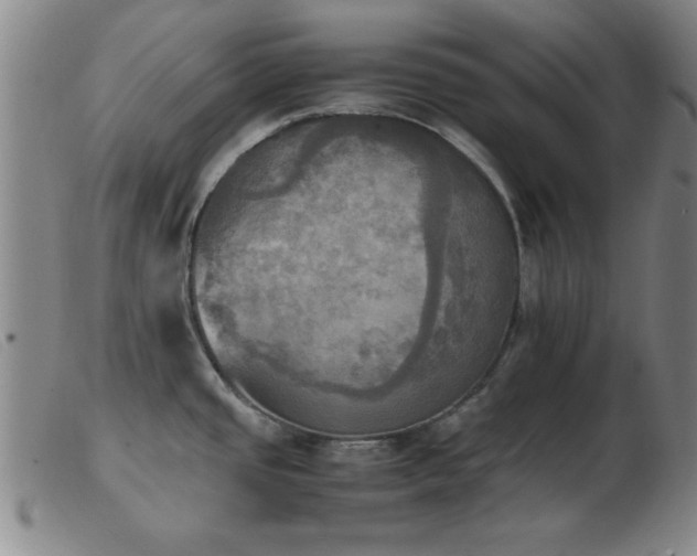 X0000103901437200809191228