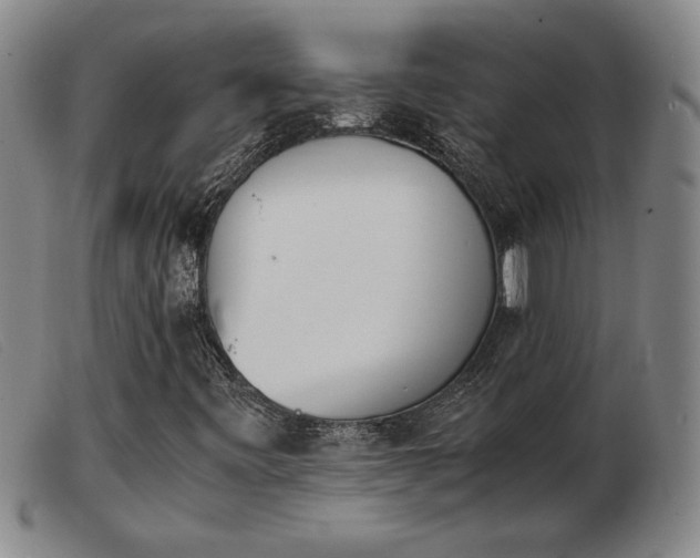 X0000103901443200809191227