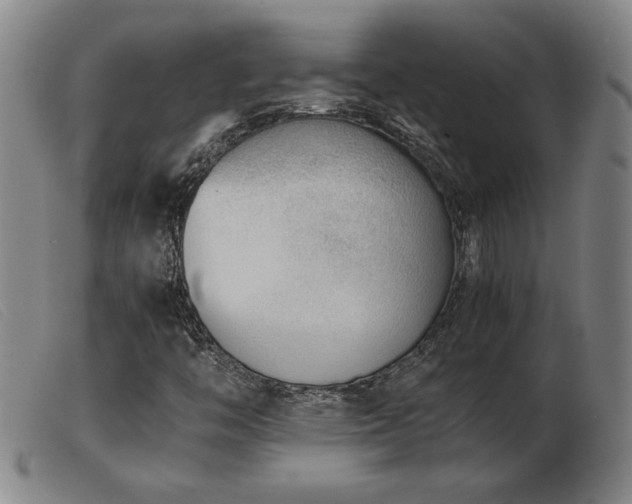 X0000103901446200809191227