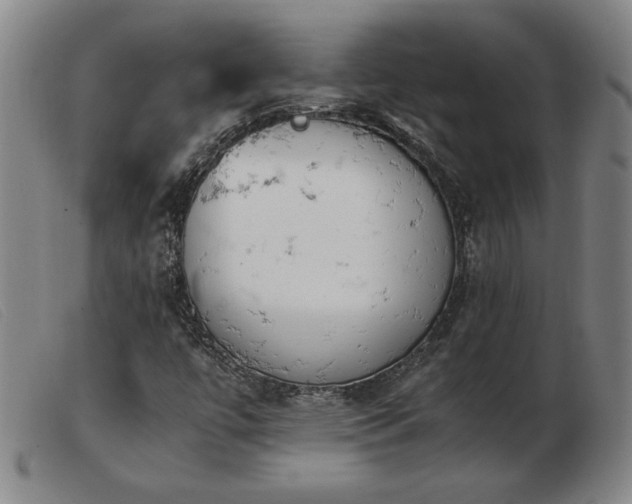 X0000103901447200809191227