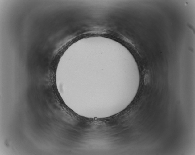 X0000103901448200809191227