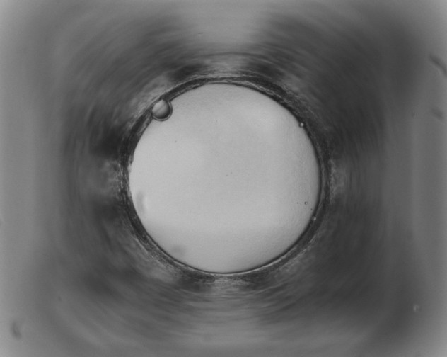 X0000103901449200809191227