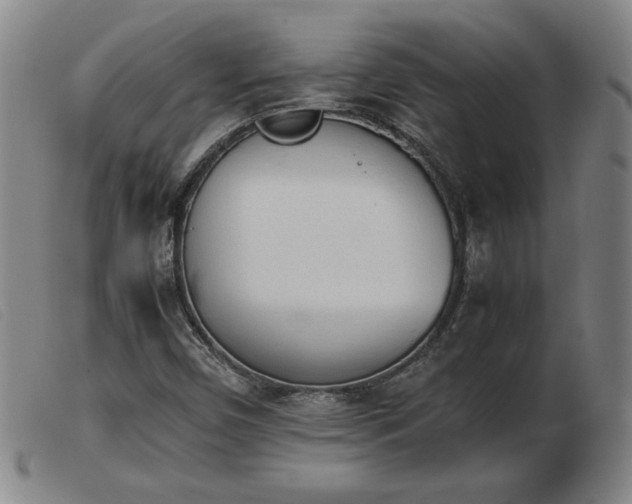 X0000103901450200809191227