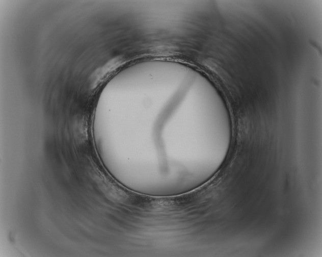 X0000103901451200809191227