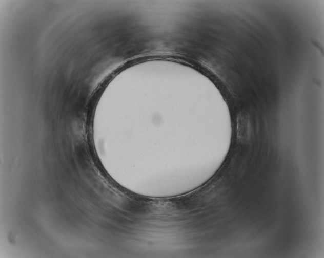 X0000103901452200809191227