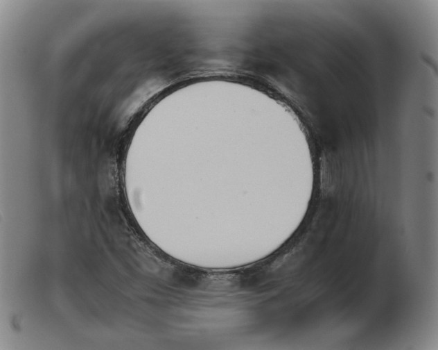 X0000103901453200809191227