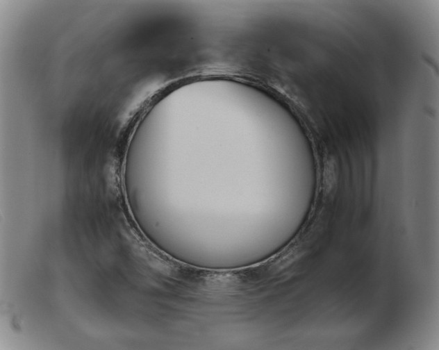 X0000103901454200809191227