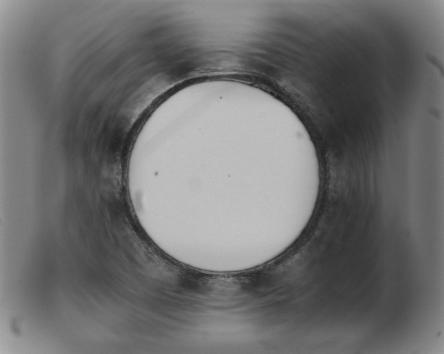 X0000103901457200809191227