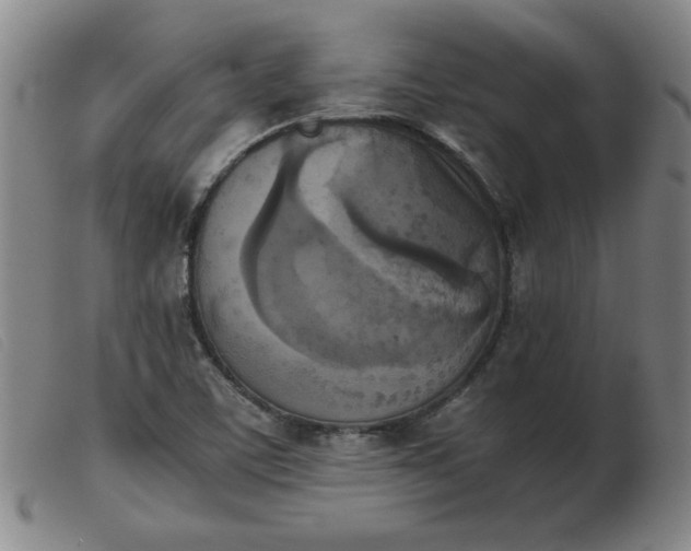 X0000103901459200809191227