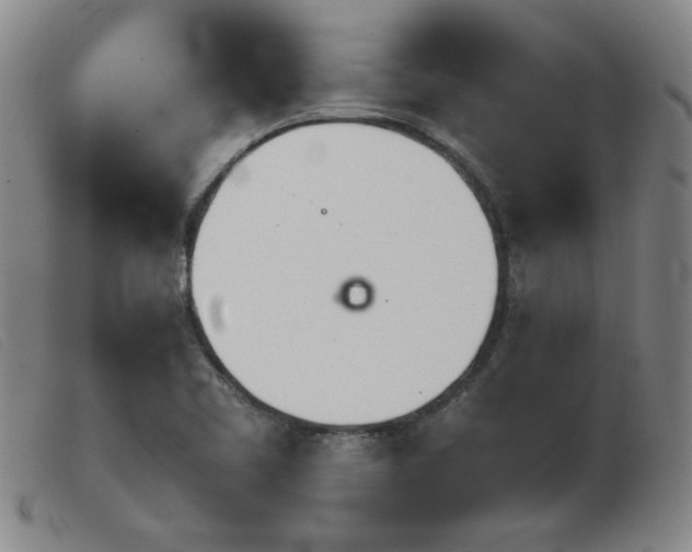 X0000103901461200809191227
