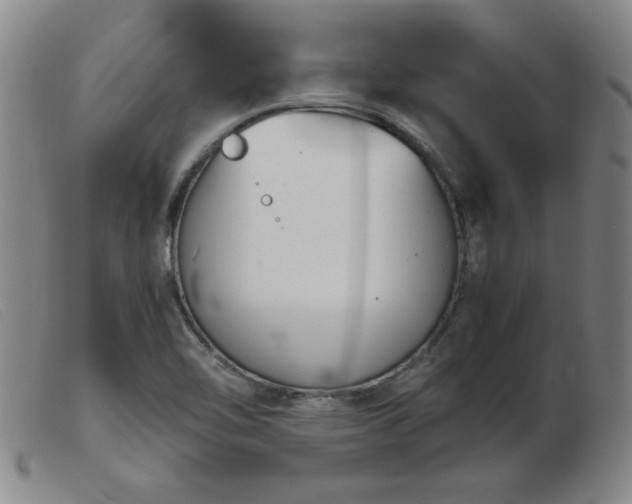 X0000103901462200809191227