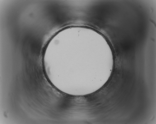 X0000103901464200809191227