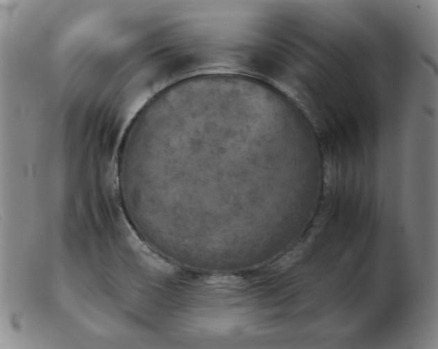 X0000103901466200809191227