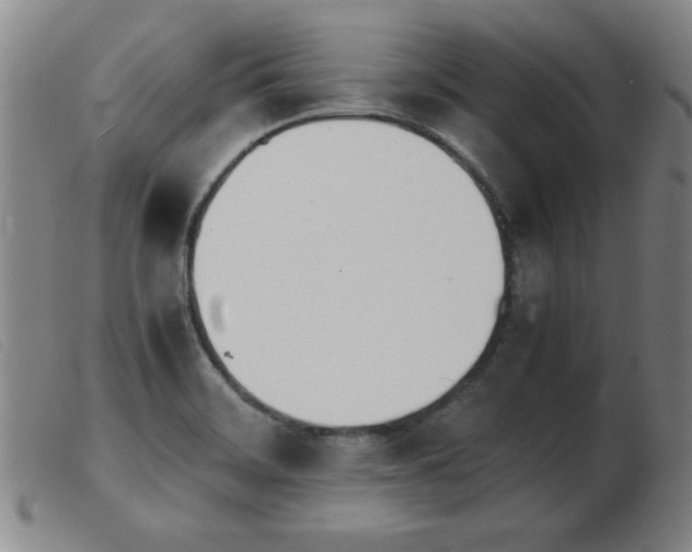 X0000103901468200809191227