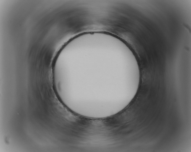 X0000103901472200809191227