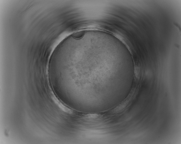 X0000103901482200809191227