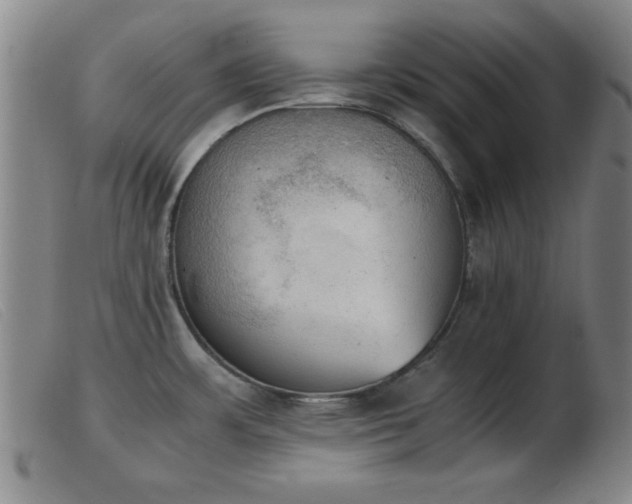 X0000103901483200809191227