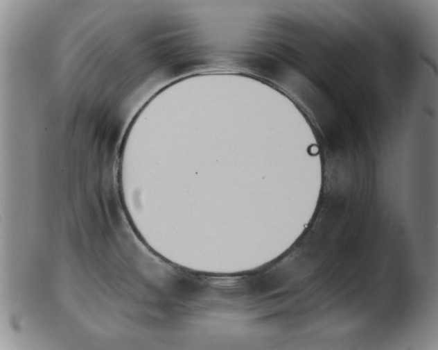 X0000103901484200809191227