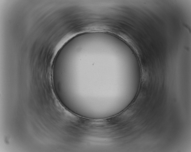 X0000103901486200809191227